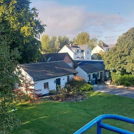 Cosy 2 Bed Cottage Next To Fota Wildlife Park Cork Dış mekan fotoğraf