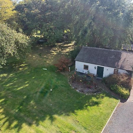 Cosy 2 Bed Cottage Next To Fota Wildlife Park Cork Dış mekan fotoğraf